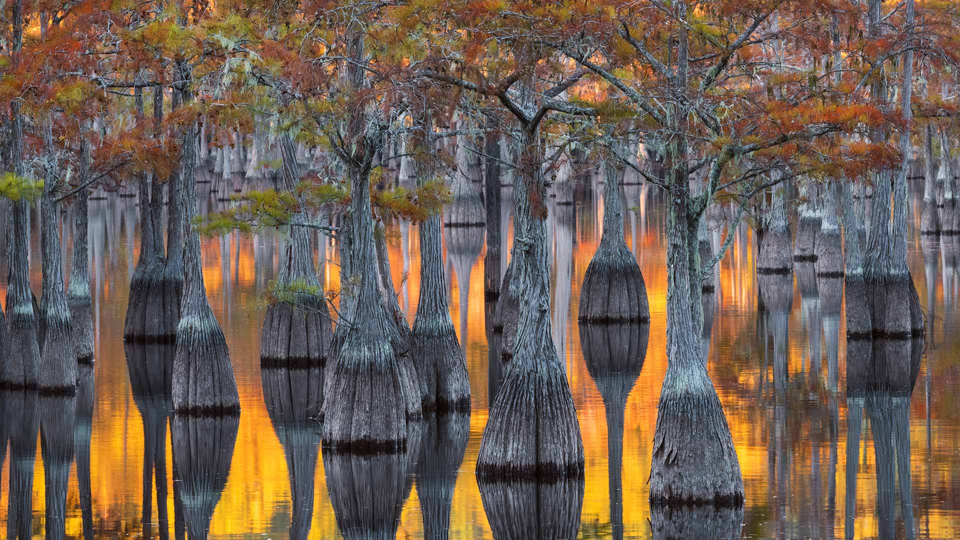 Info